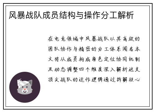 风暴战队成员结构与操作分工解析